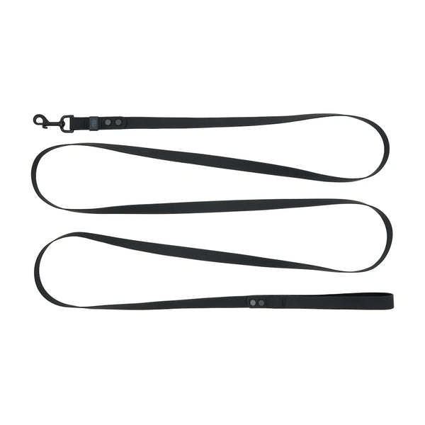 Laisse imperméable pour chien longue 3/4x10pi Noir