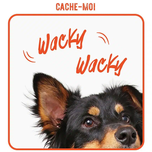 Jouet Wacky Zeus, Panda