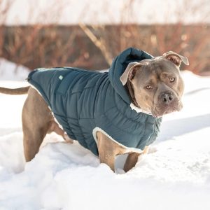 Manteau pour chien Go Fresh Pet